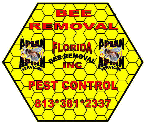 Florida Bee Removal Logo