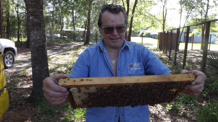 Beekeeper with honeybees